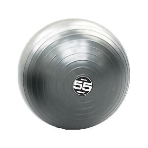 steady ball 55cm