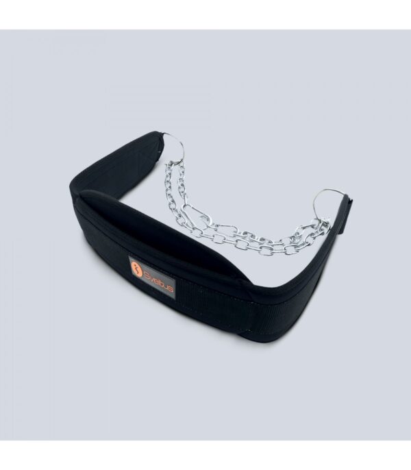 ceinture lestable