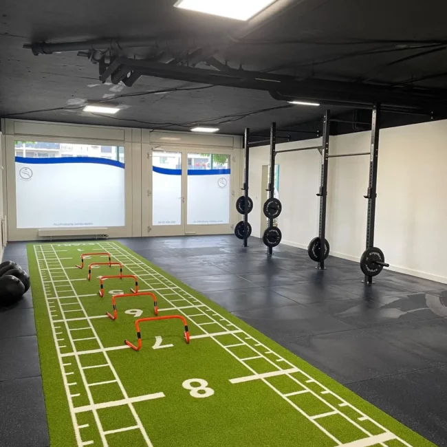 Haies d'agilité disposées sur un parcours d'entraînement en salle de fitness - Fitspro Equipement